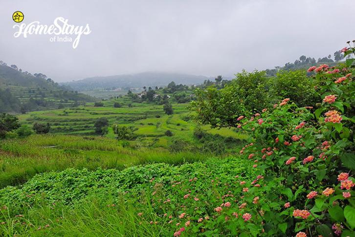 Dwarahat Village Farmstay- Babaji'S Cave Exteriör bild